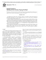 ASTM F1703-13